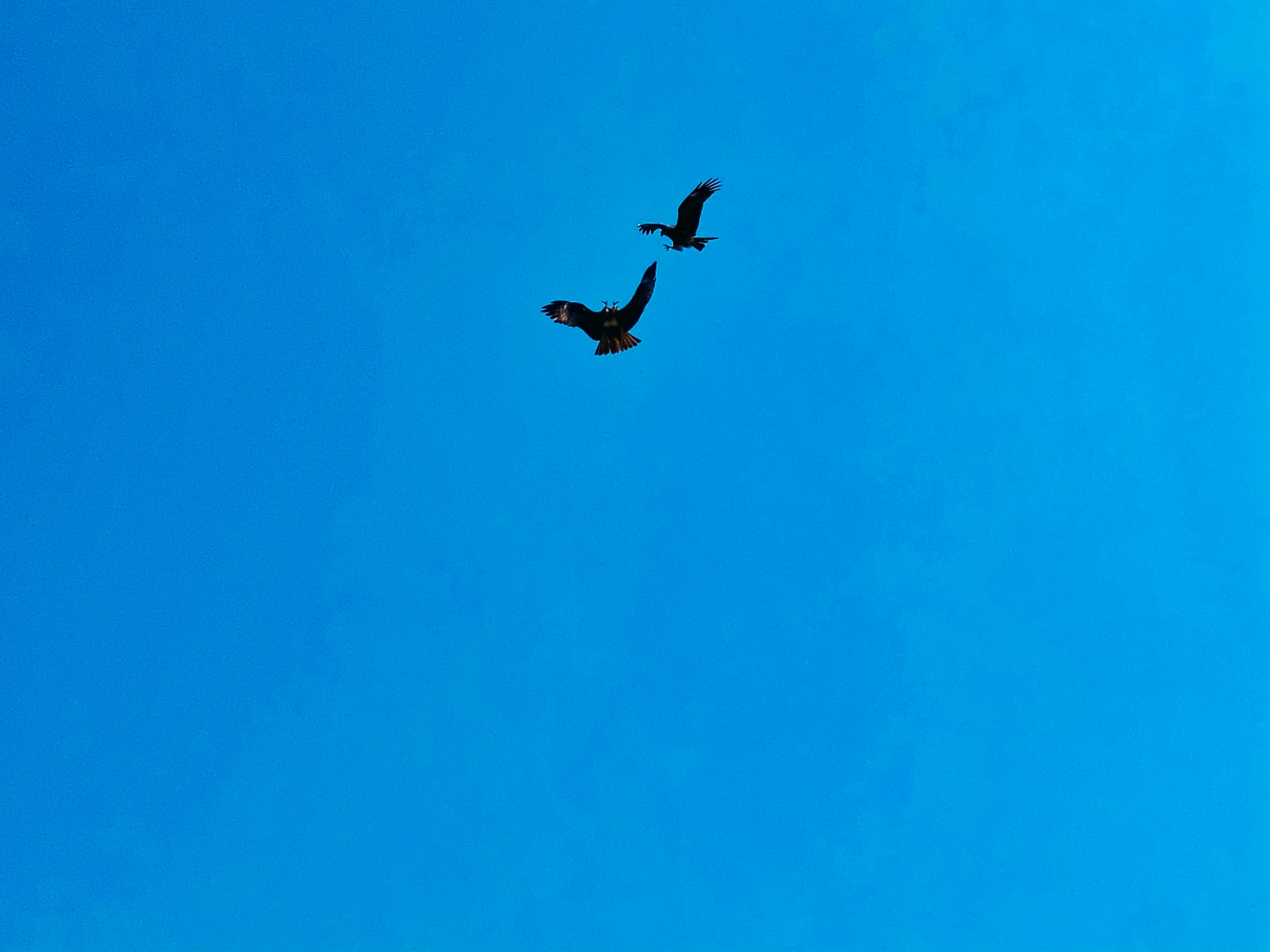 Photo by thomaskinto