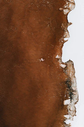 Athlete swimming in the cold, clear waters of the Columbia River at dawn.