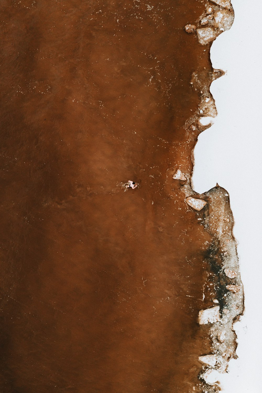 brown and white abstract painting