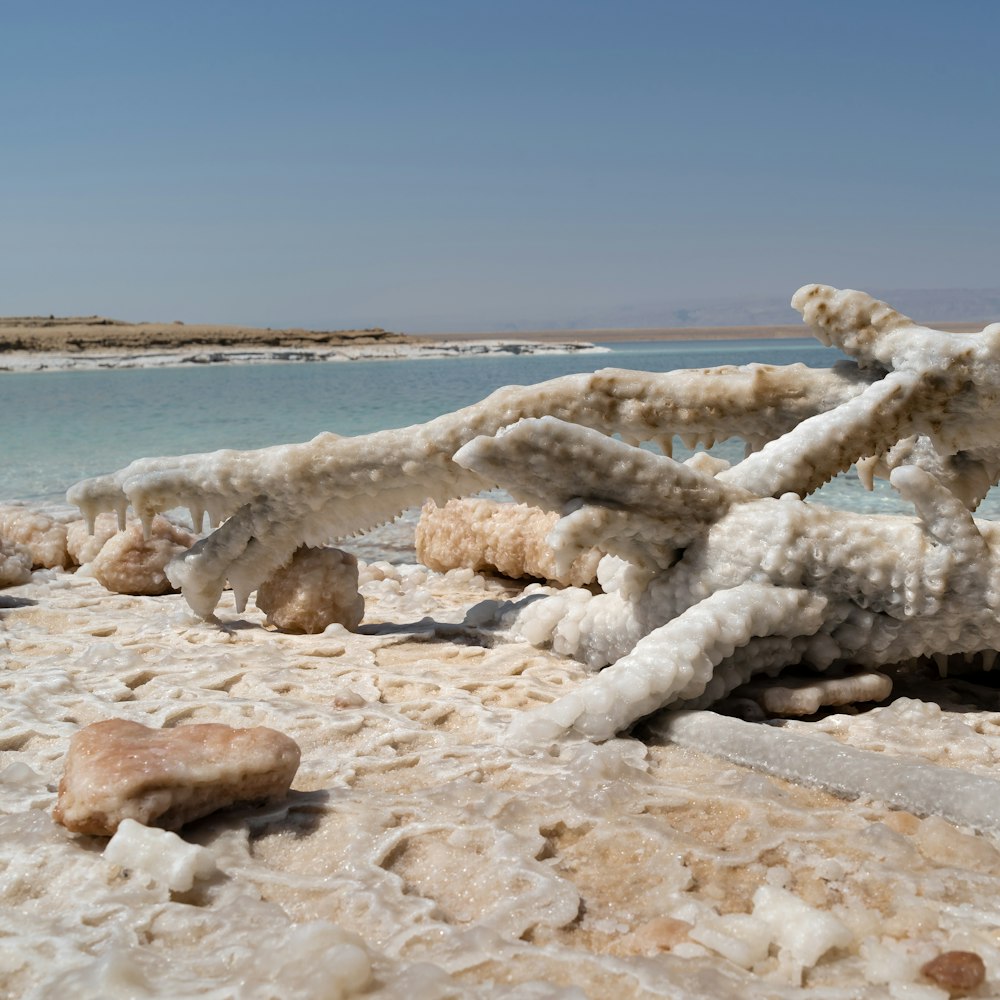 white ice on beach shore during daytime