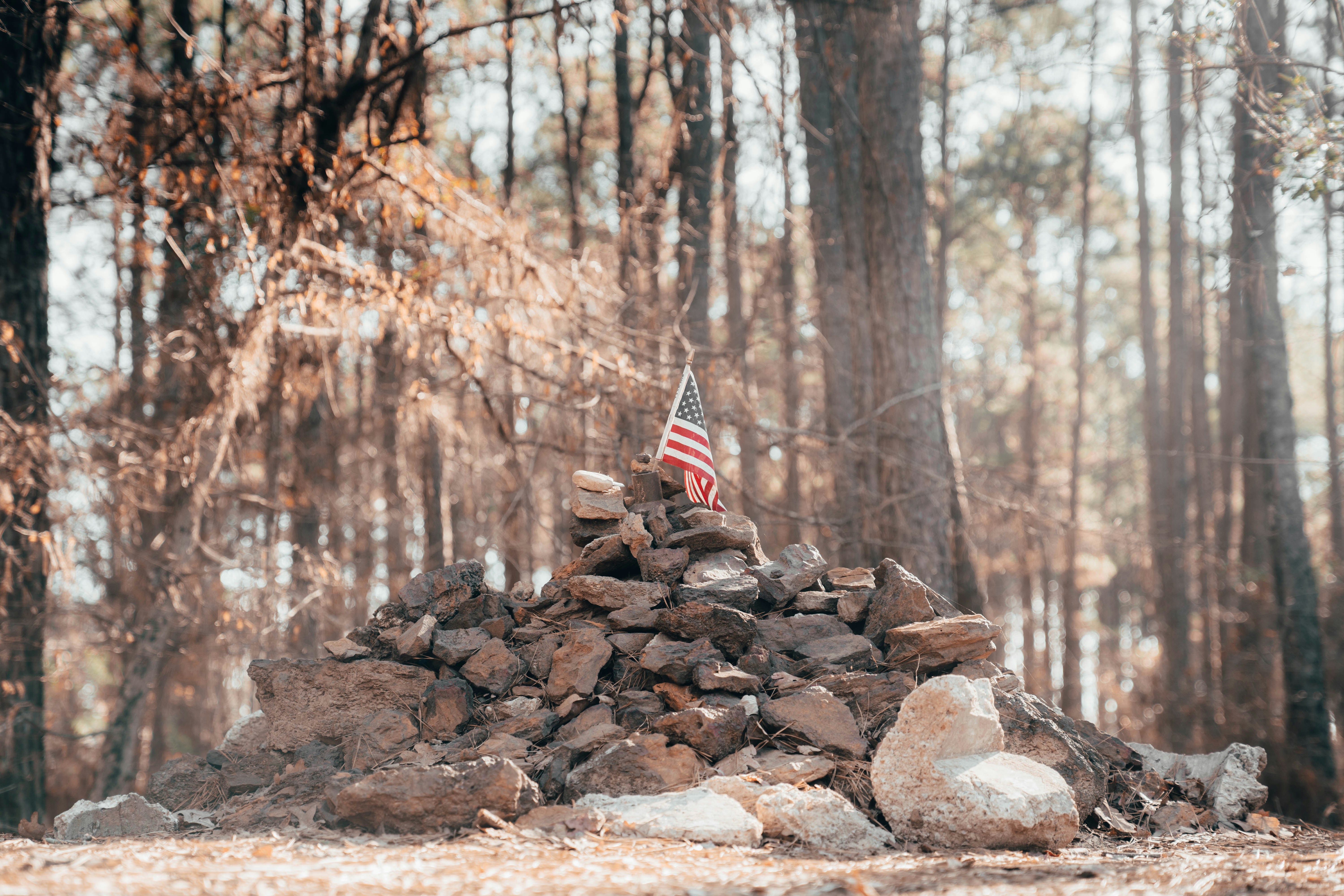 brown rocks on brown field during daytime
