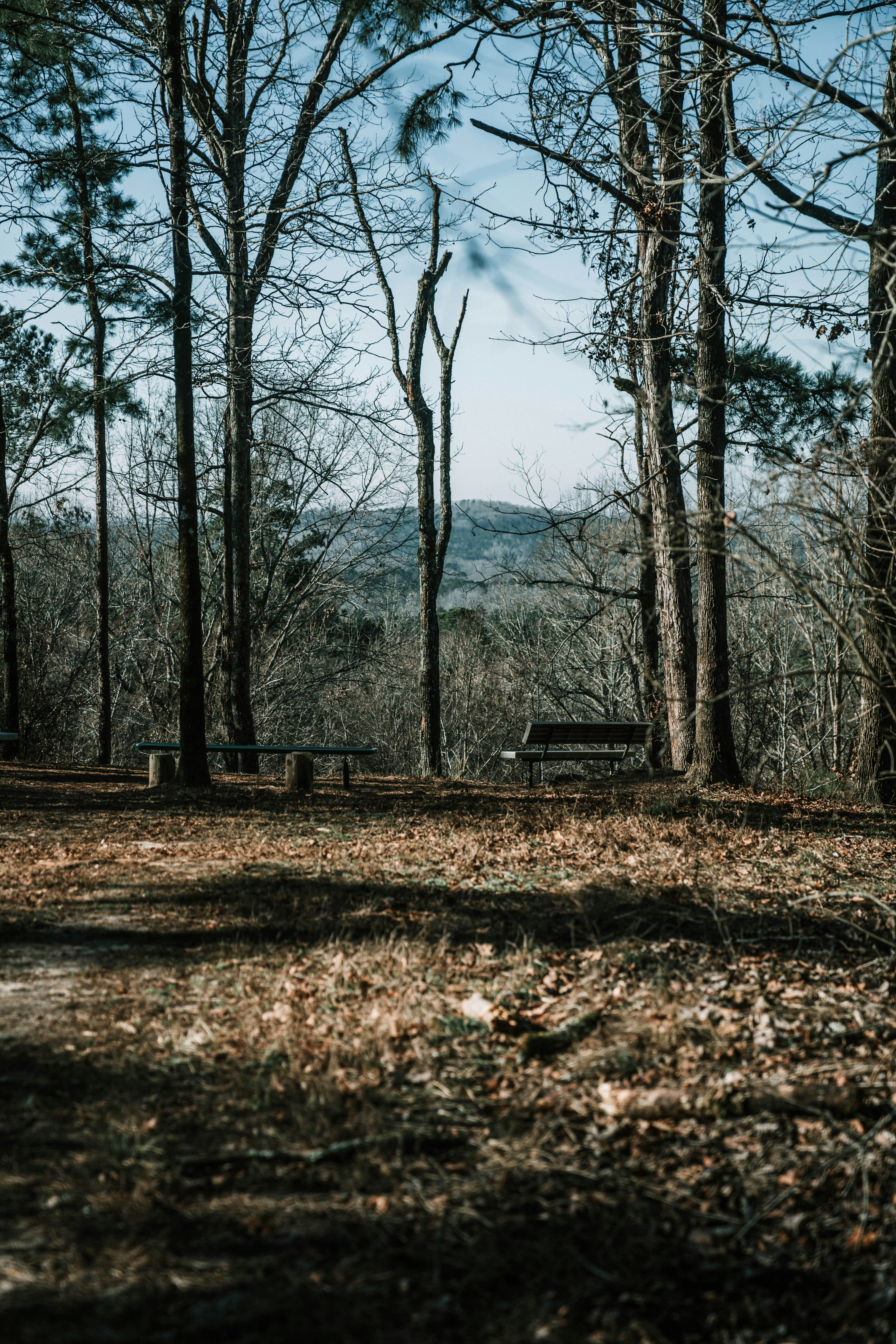 Photo by austin__ramsey