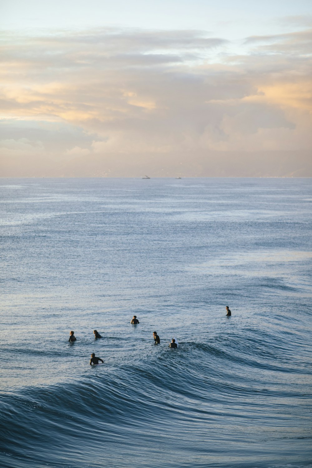 people in sea during daytime