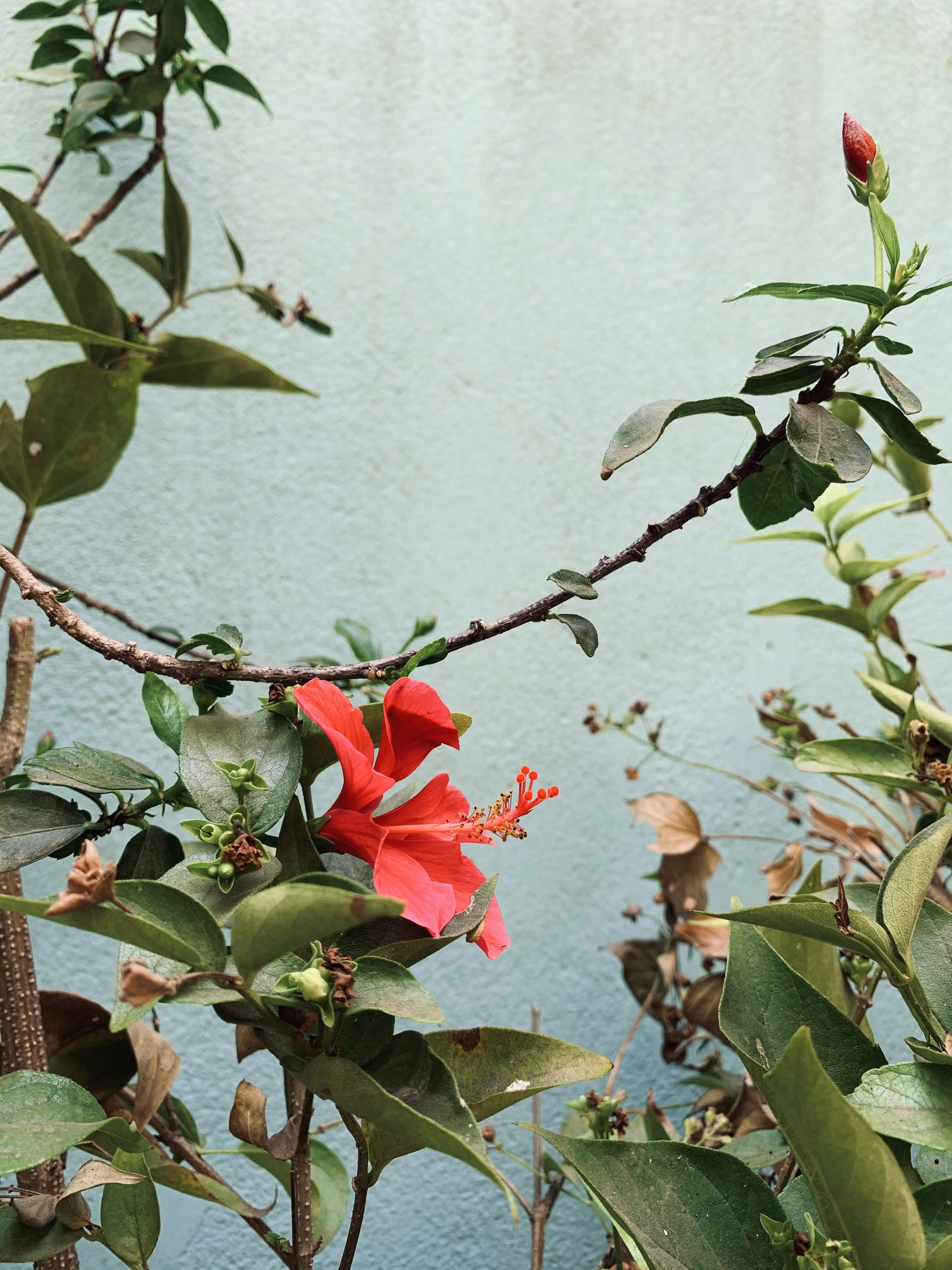 Photo by douxreverie93