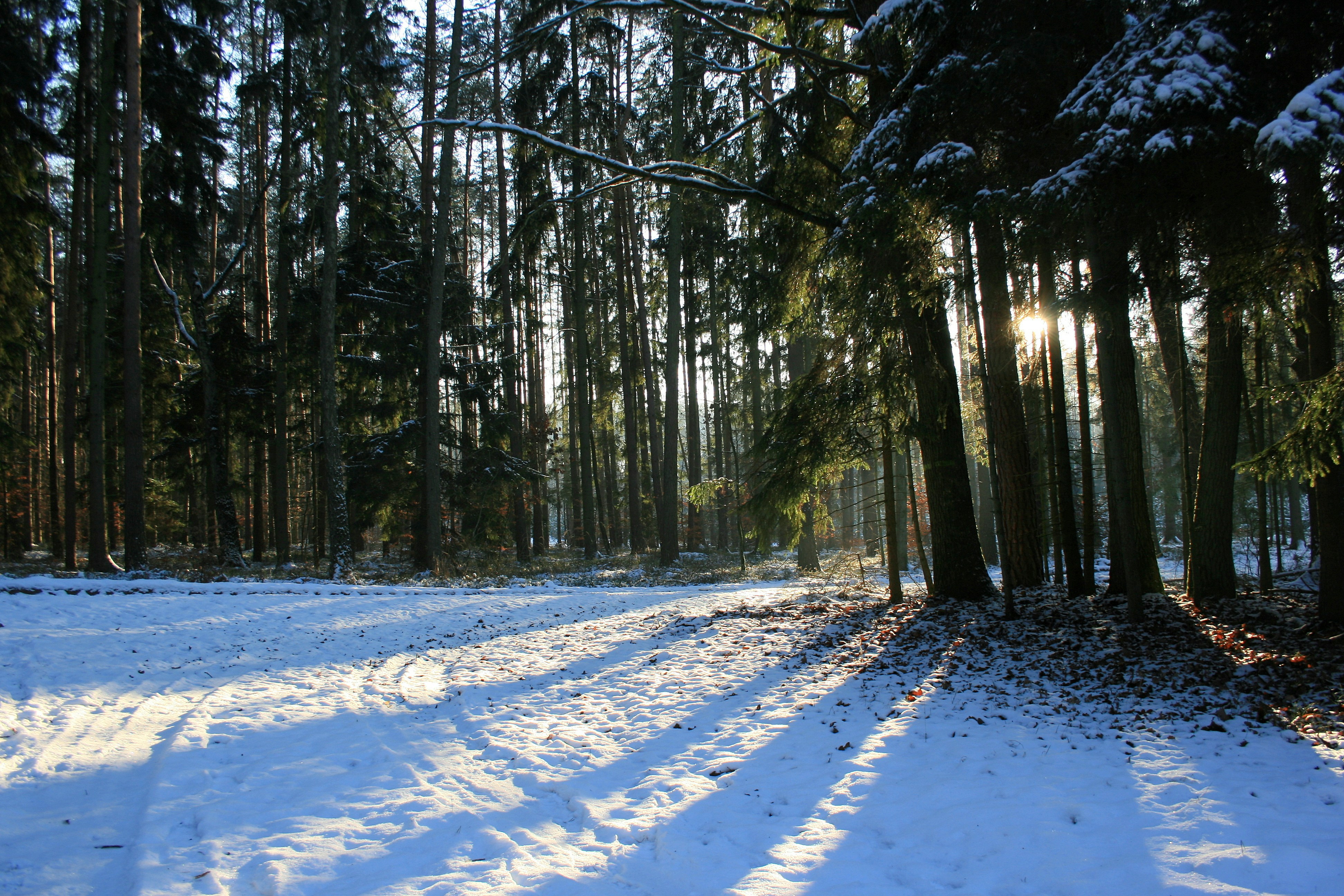 Photo by b_krysztofiak