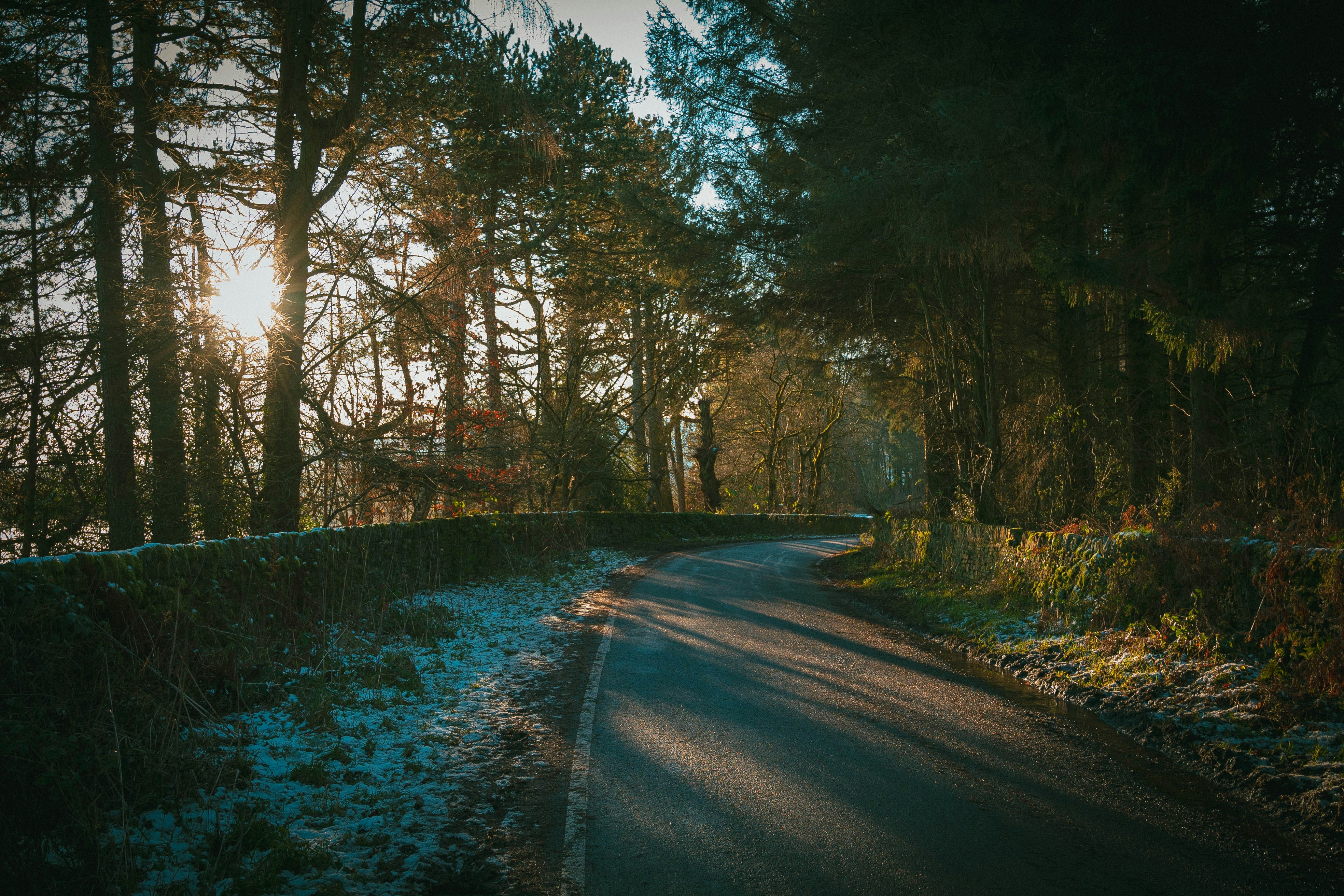 Photo by lallanphotos