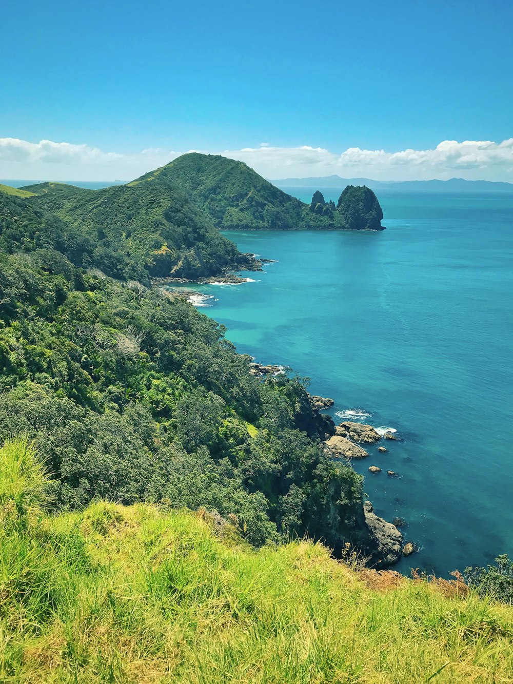 green trees on mountain near sea during daytime