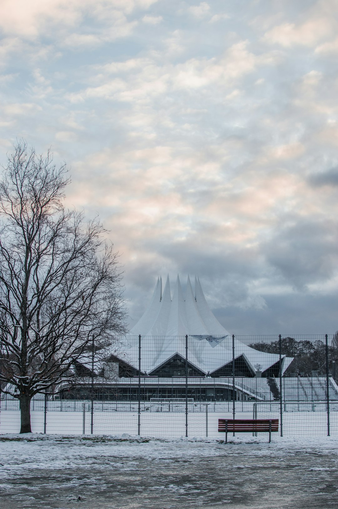 leafless trees near white building under white clouds