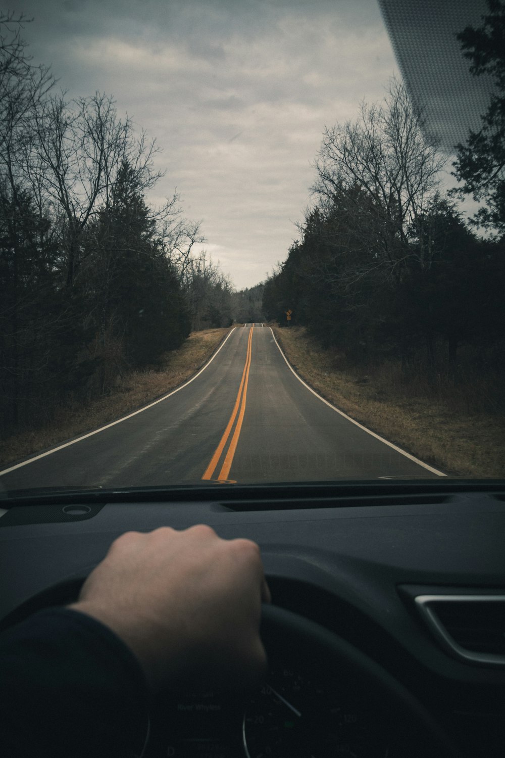 car on road between trees during daytime