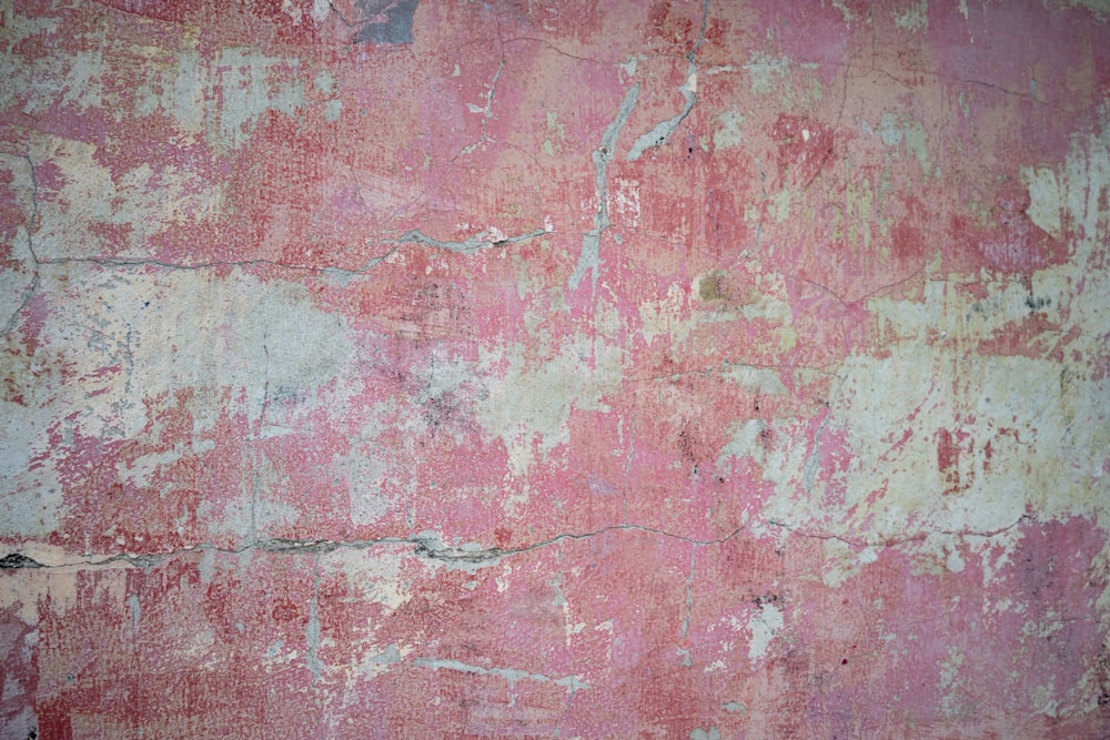 red and white concrete wall
