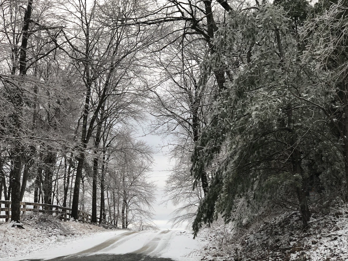 A road through bare trees coated in ice and snow, on Bent Mountain, near Roanoke