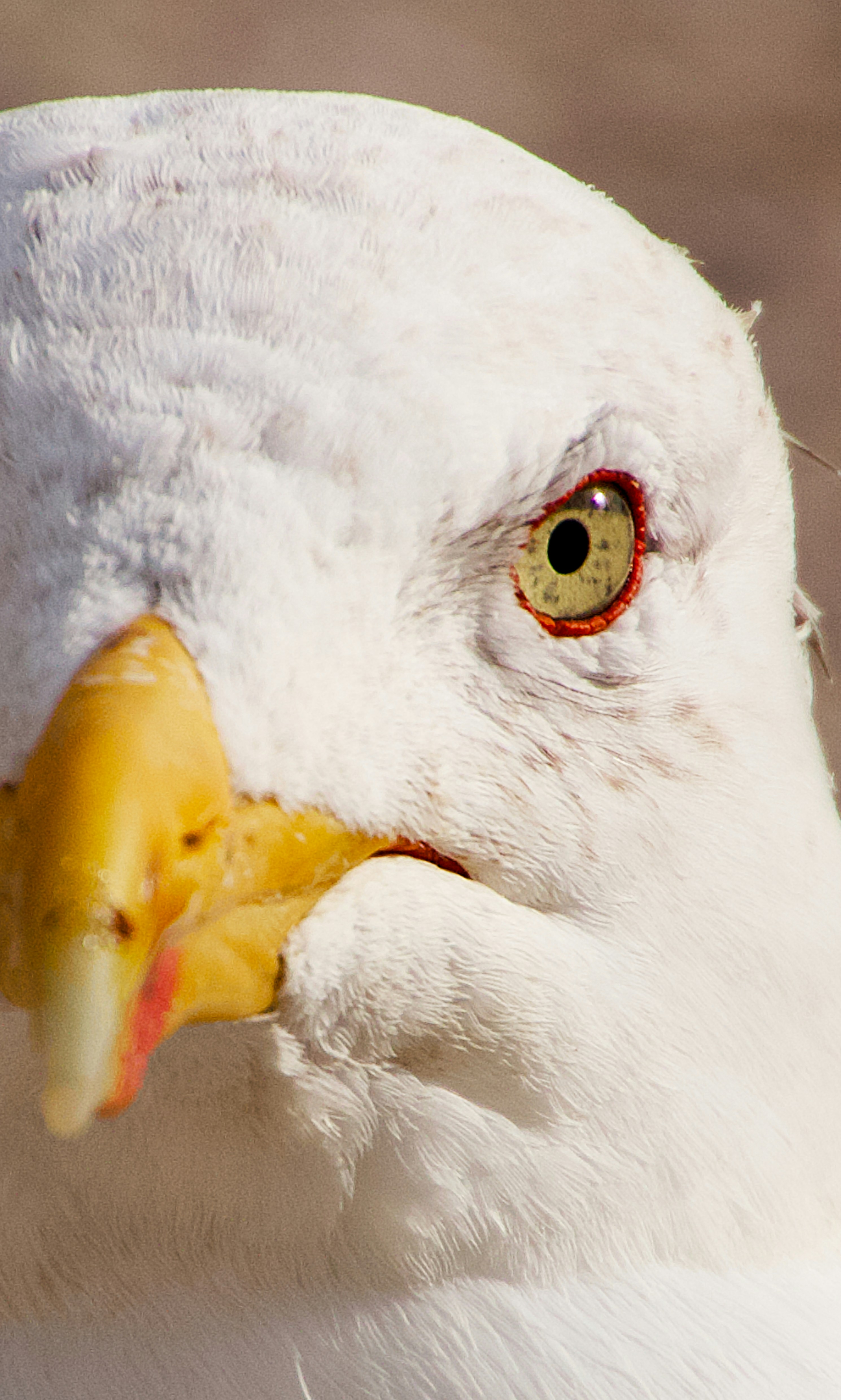 Photo by miguelalcantara