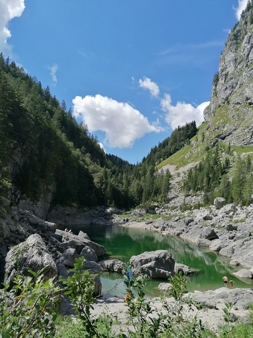 green trees on rocky mountain beside river under blue sky during daytime