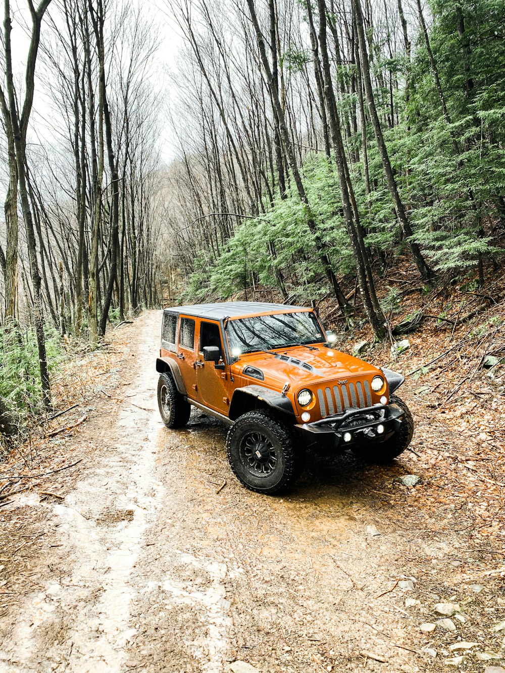 Jeep Wrangler negro en un camino de tierra entre árboles durante el día