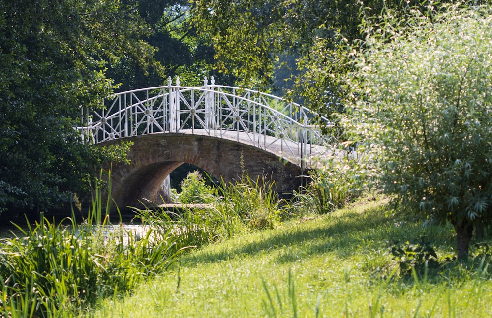 brown concrete bridge over green grass field during daytime