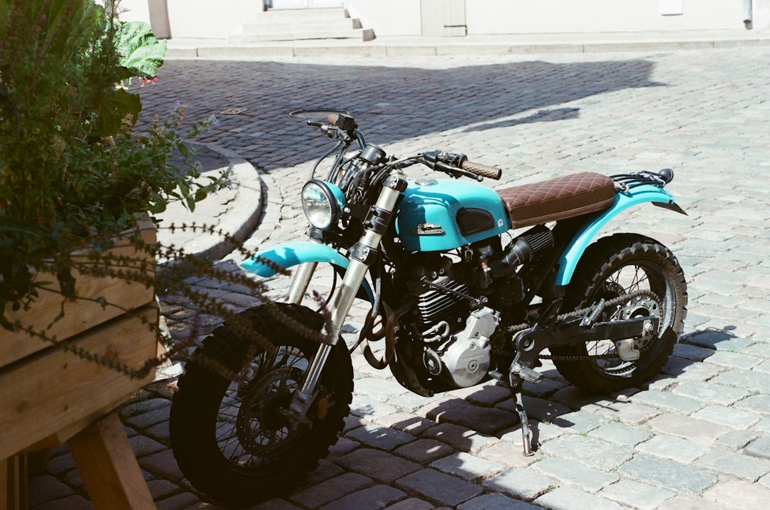 blue and black motorcycle parked beside green plant