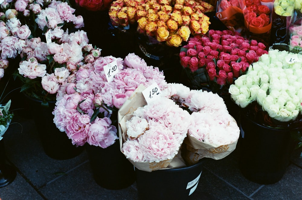 white and pink flower bouquet