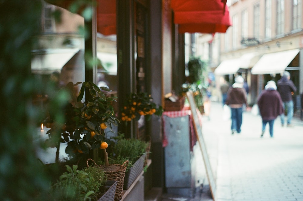 people walking on street during daytime