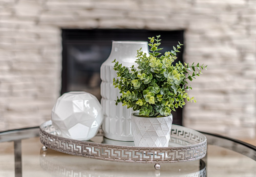 white ceramic vase with green plant on white round tray