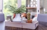green plant on clear glass vase