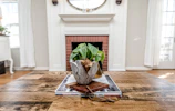 green plant on brown wooden table