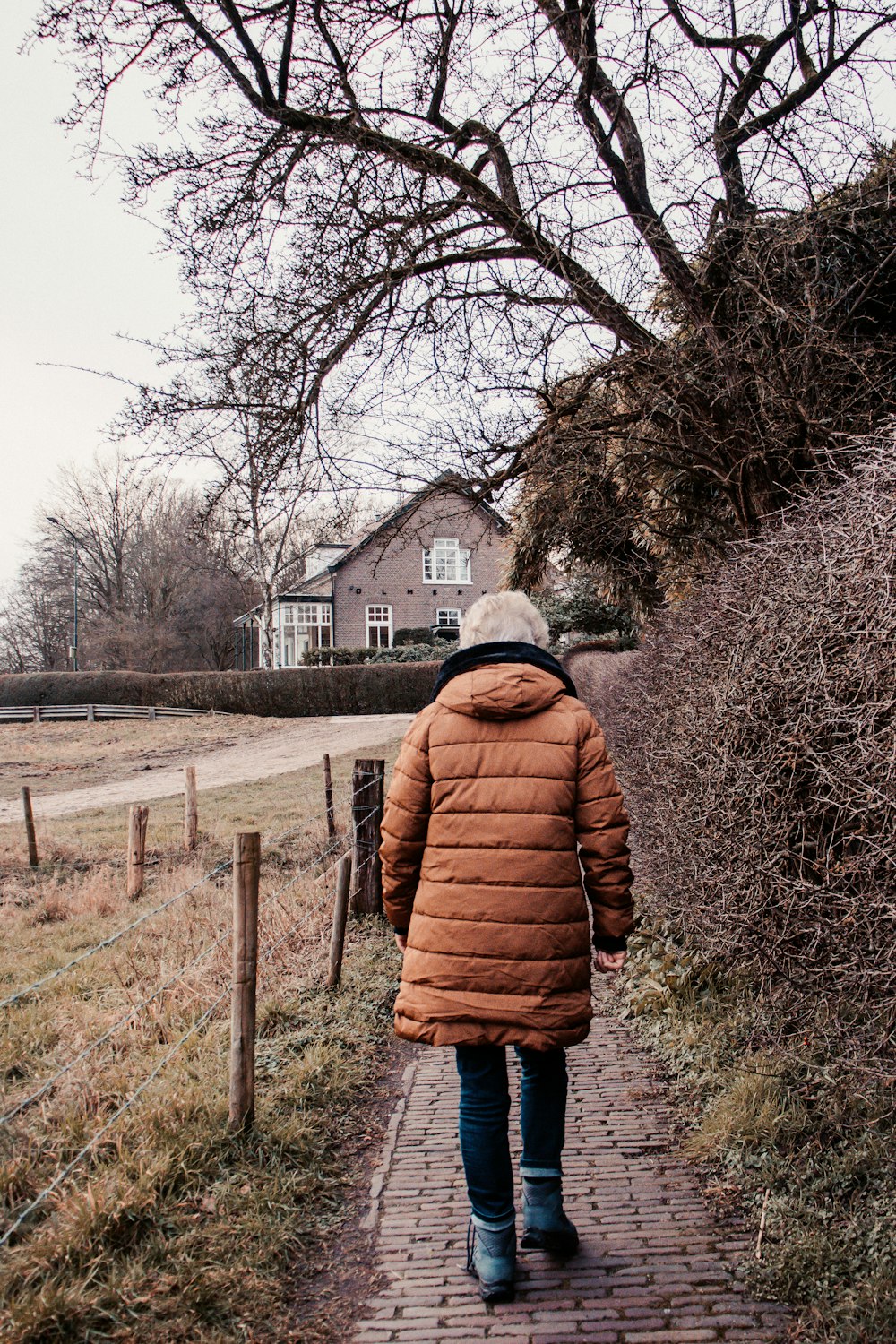 person in brown jacket standing near bare trees during daytime