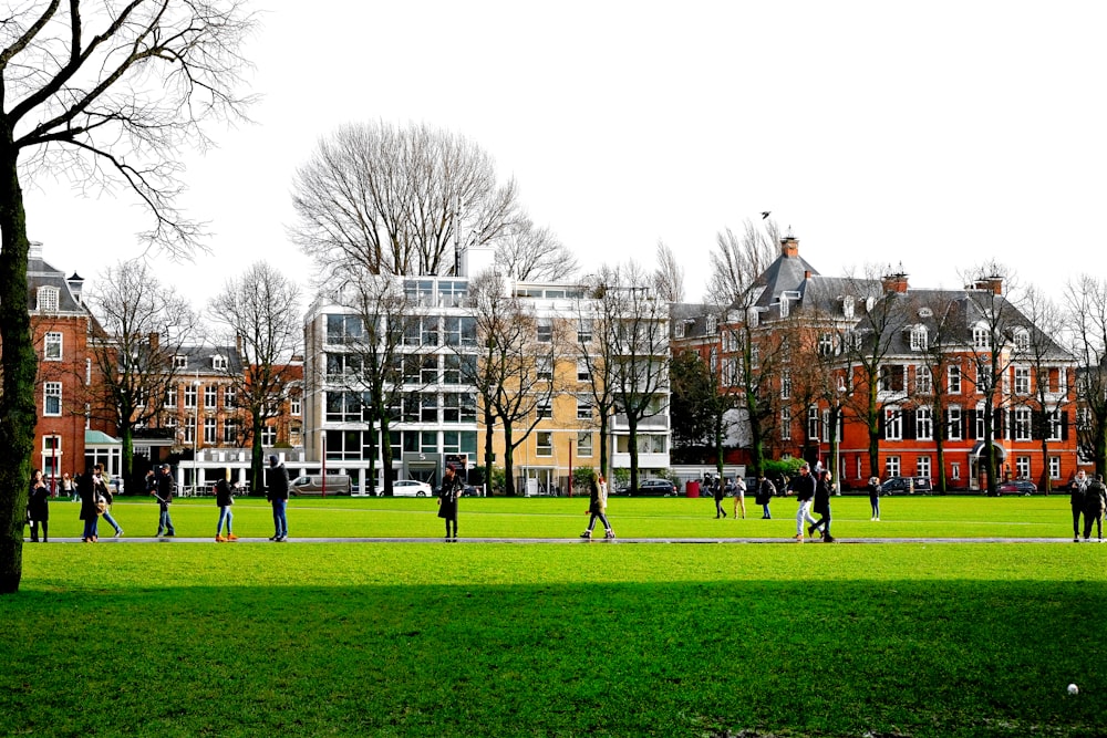 낮 동안 갈색 콘크리트 건물 근처의 푸른 잔디밭에 서 있는 사람들