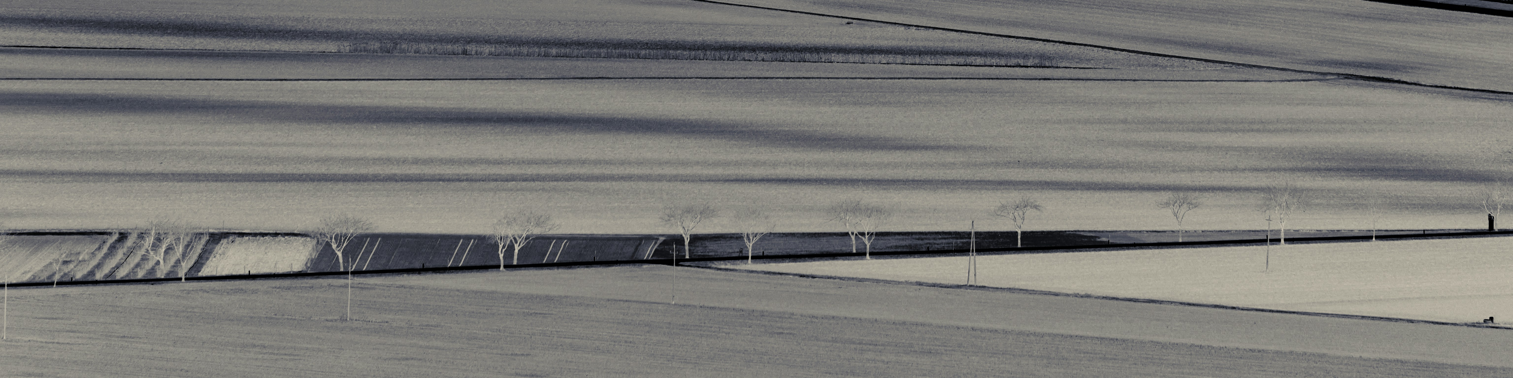Photo by majc0