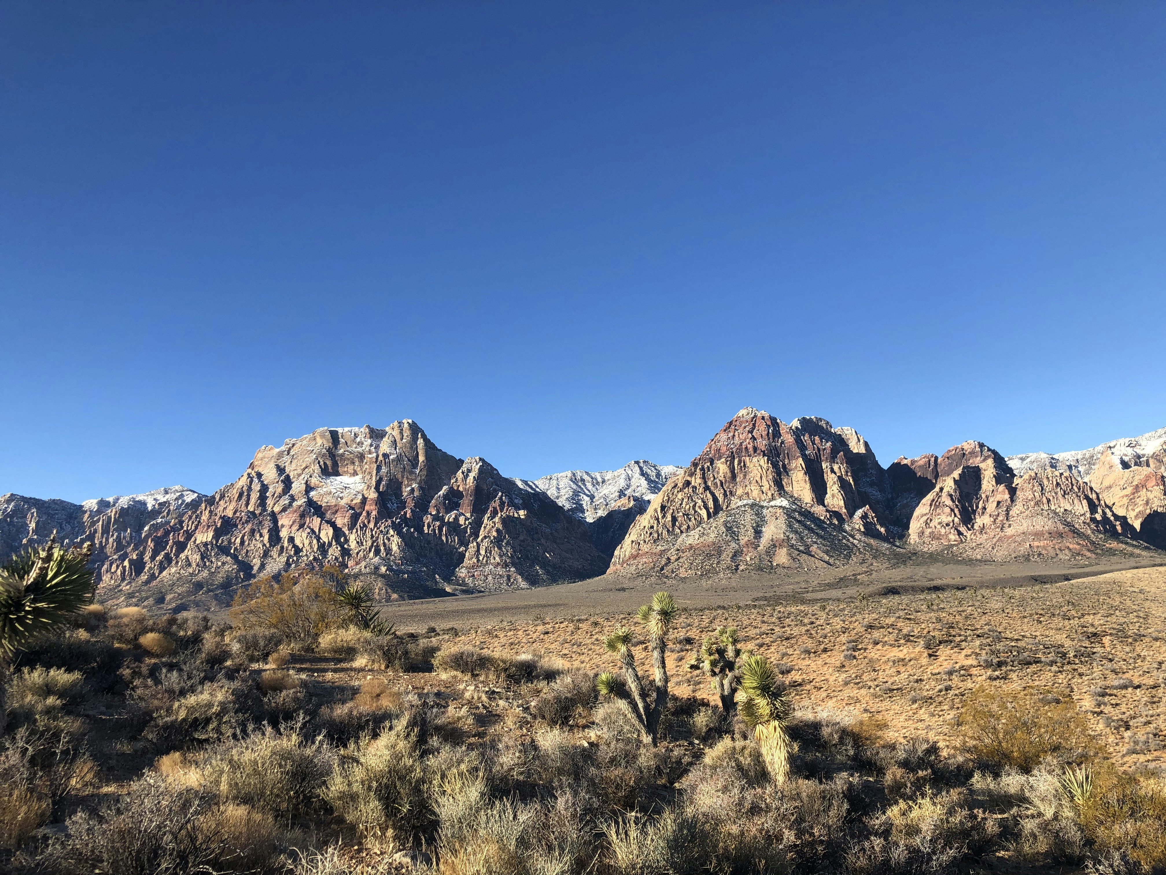 Photo by zoniazenyoga