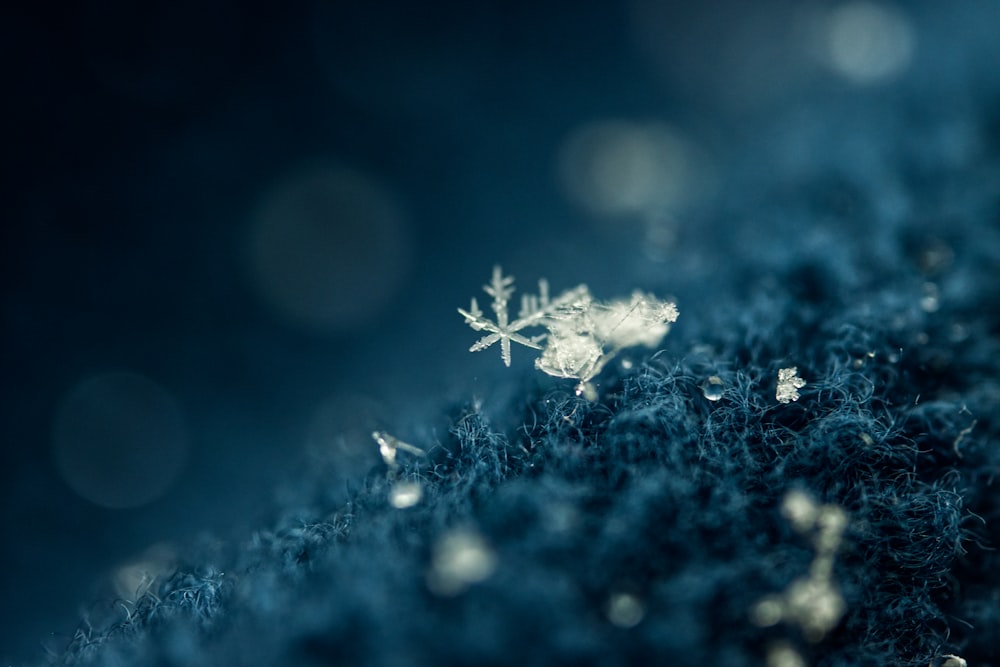 white snowflakes on blue background