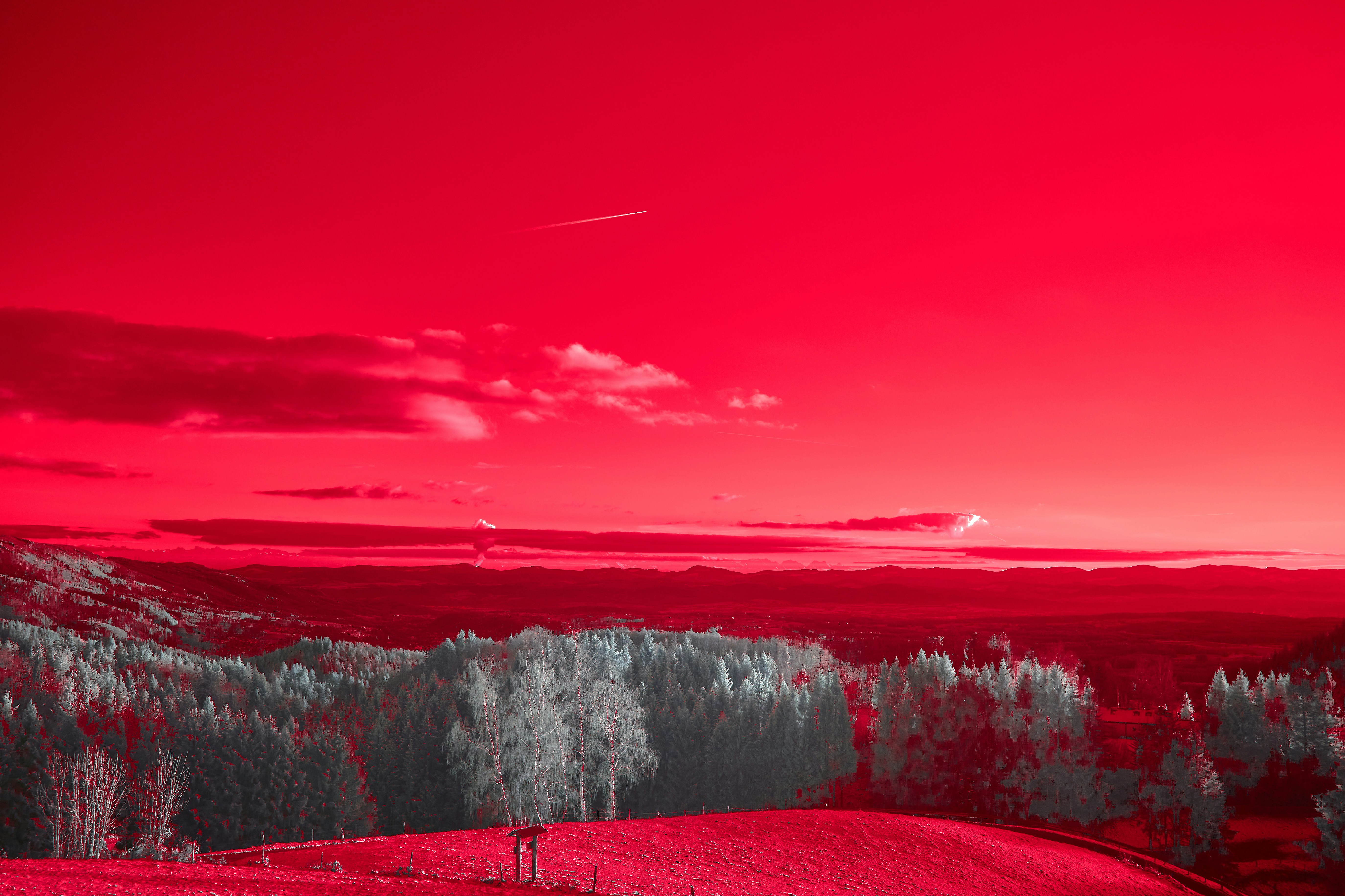 Photo by wolfgang_hasselmann