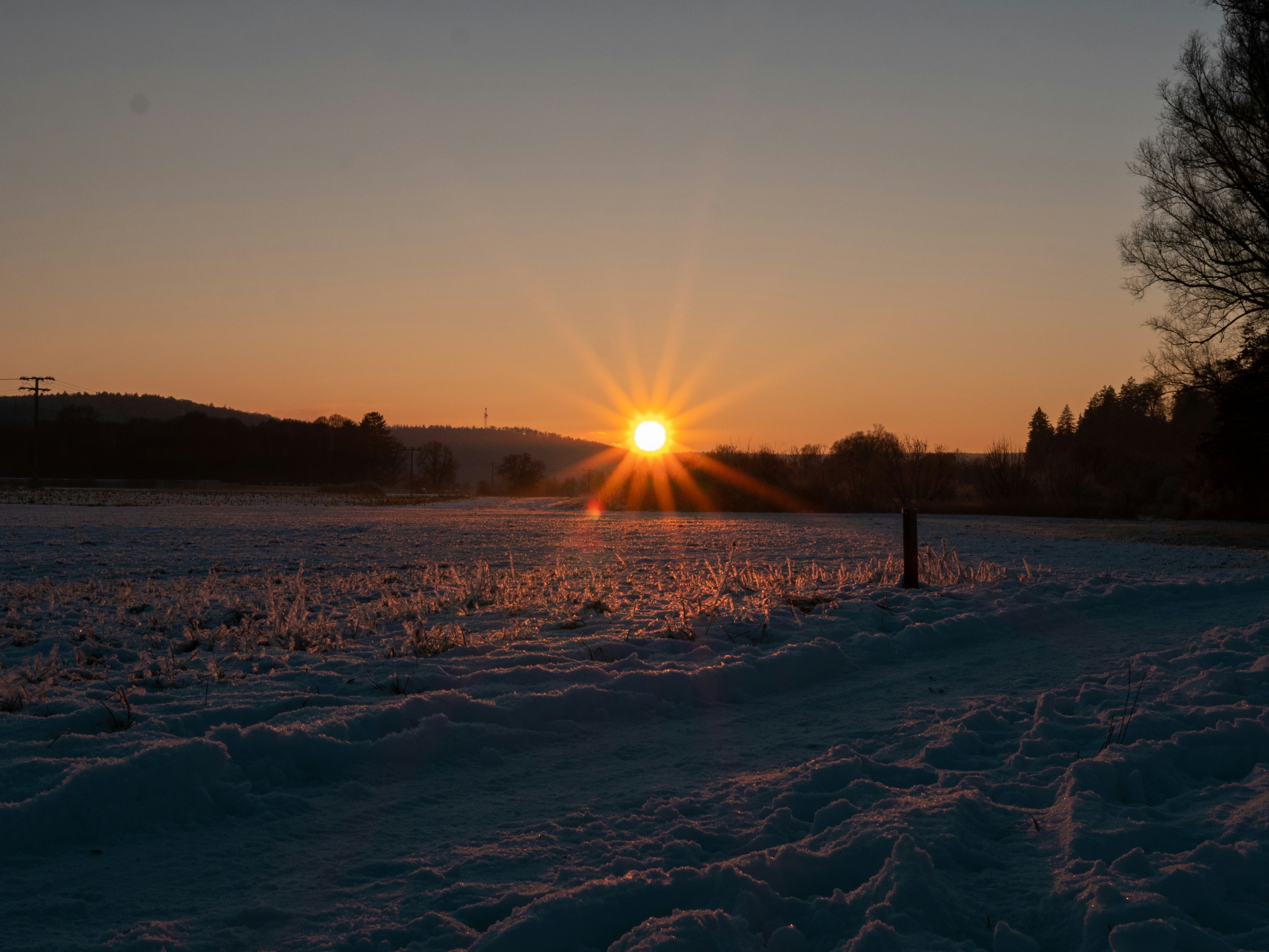 Photo by leonrohrberg