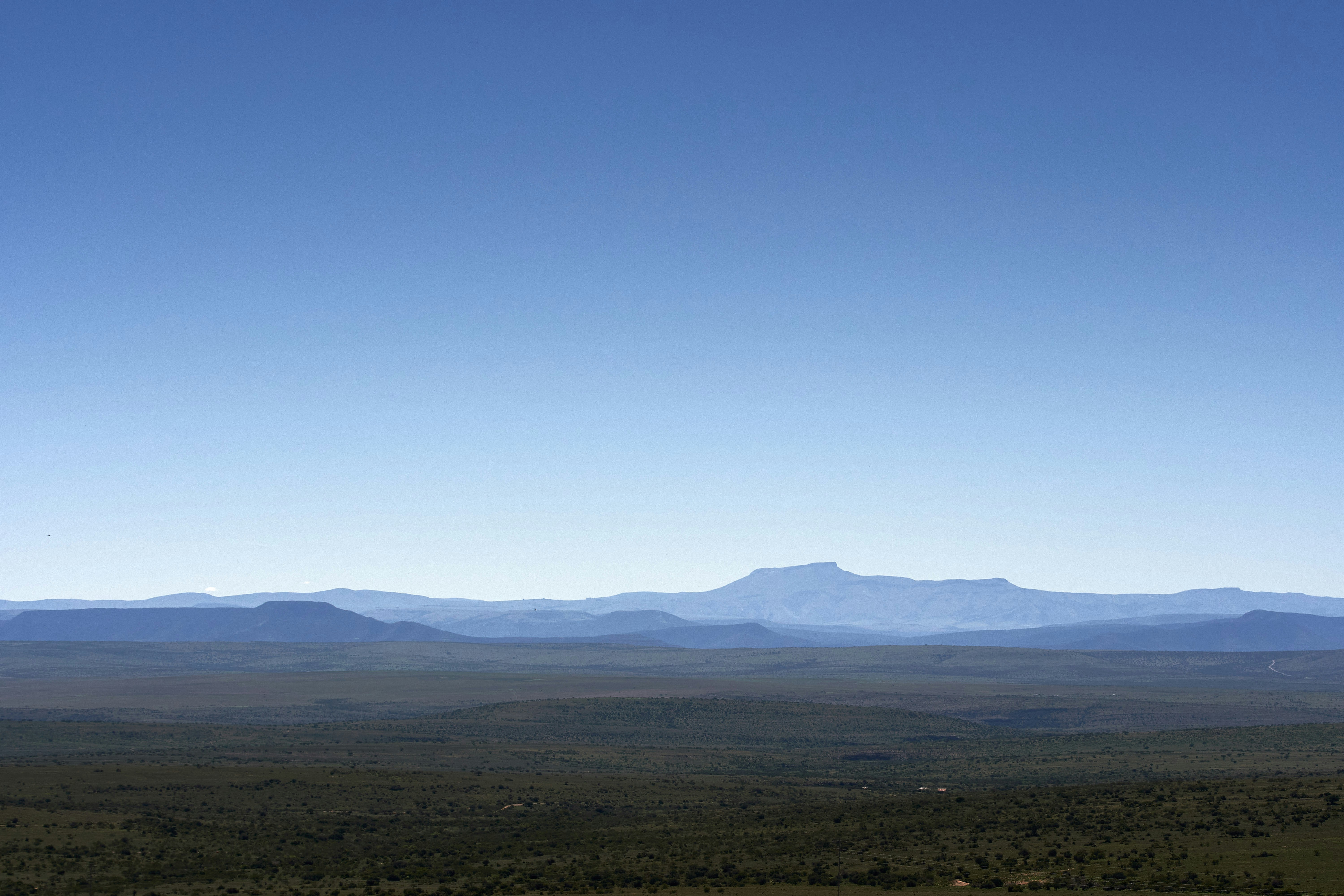 Photo by wolfgang_hasselmann