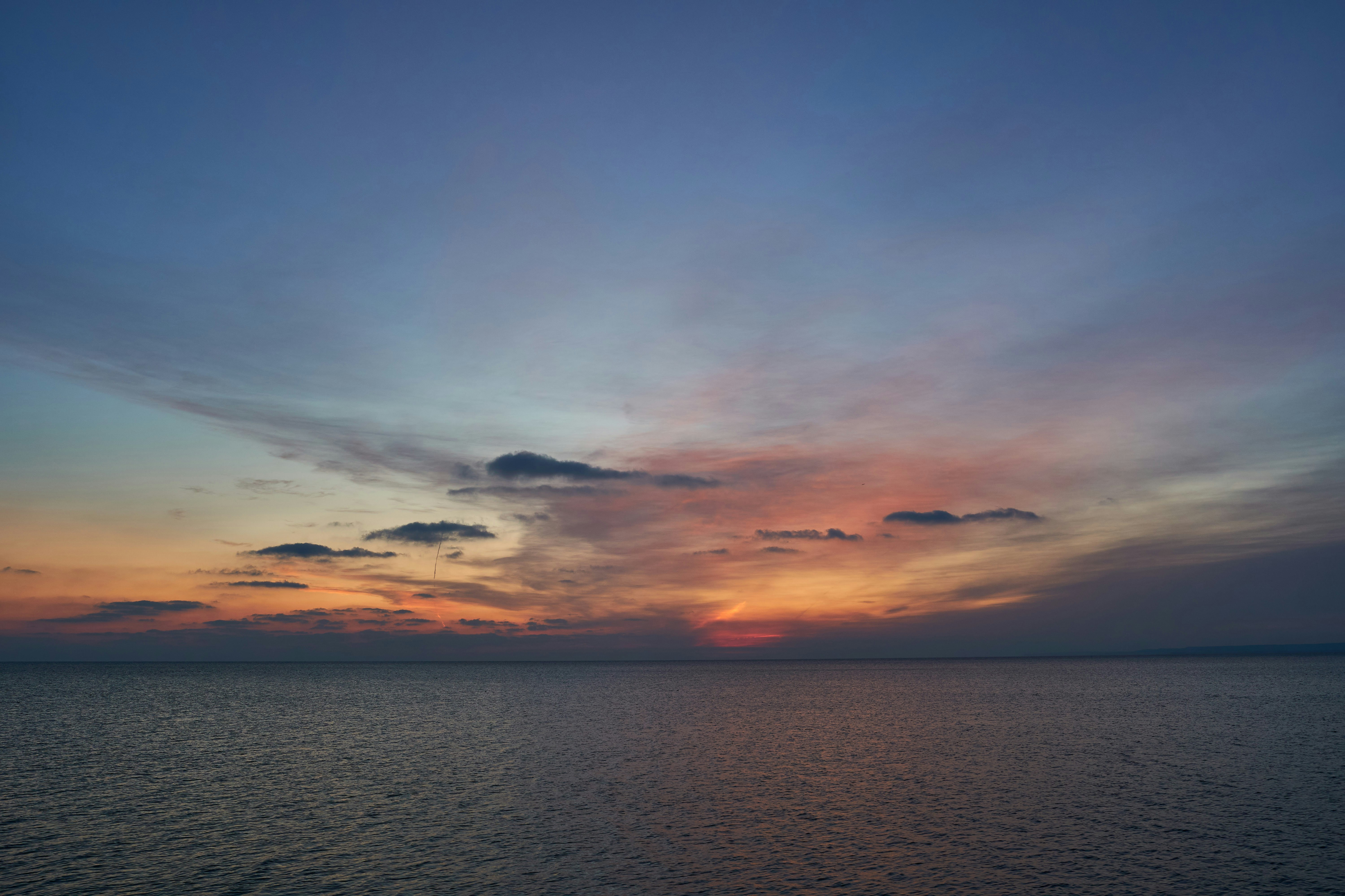 Photo by wolfgang_hasselmann