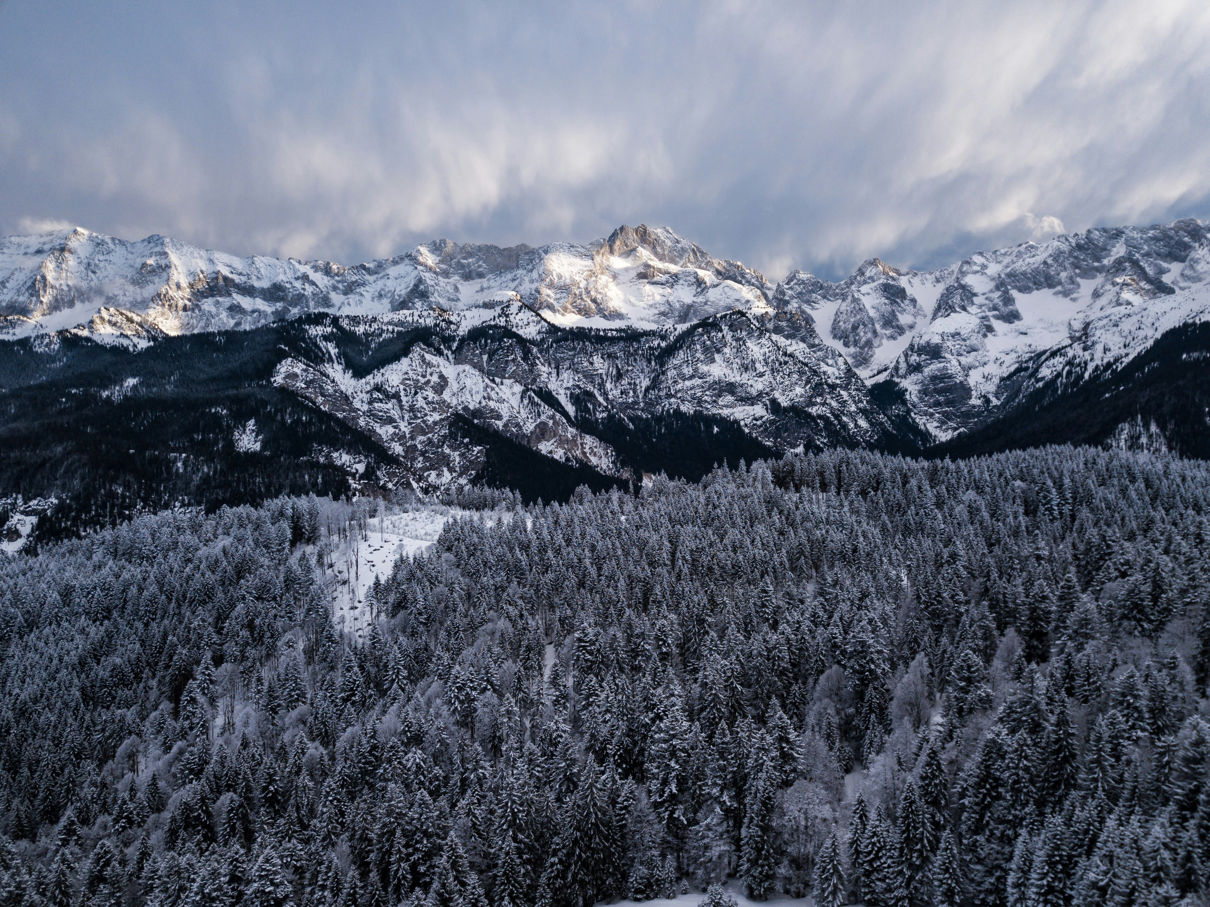 Photo by leonrohrberg