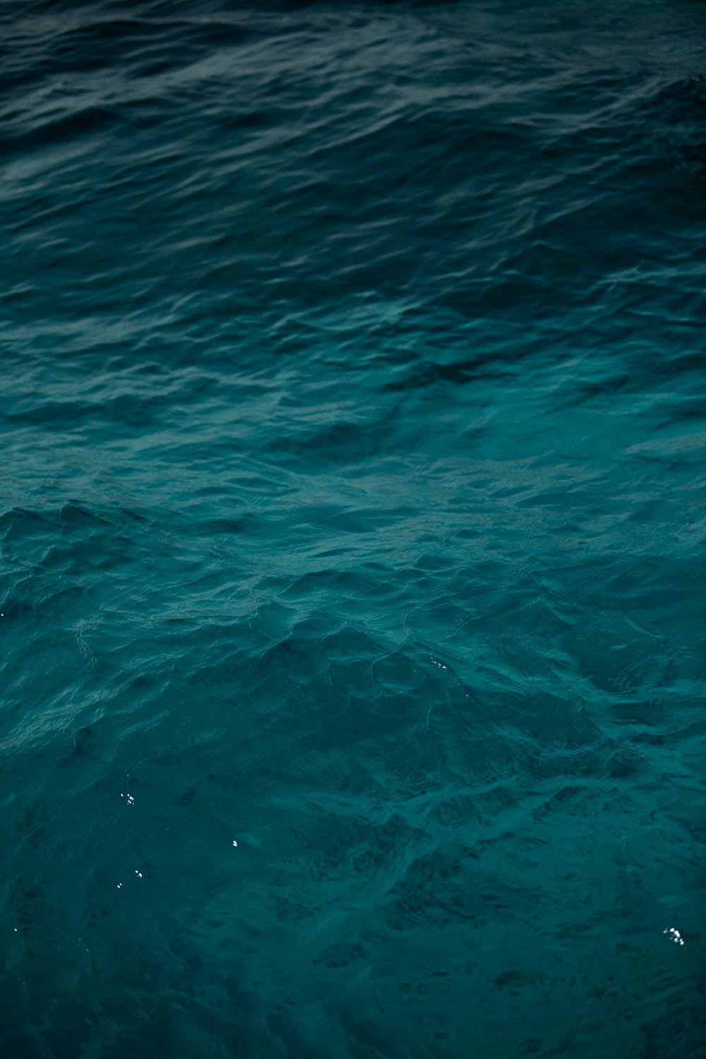 blue body of water during daytime