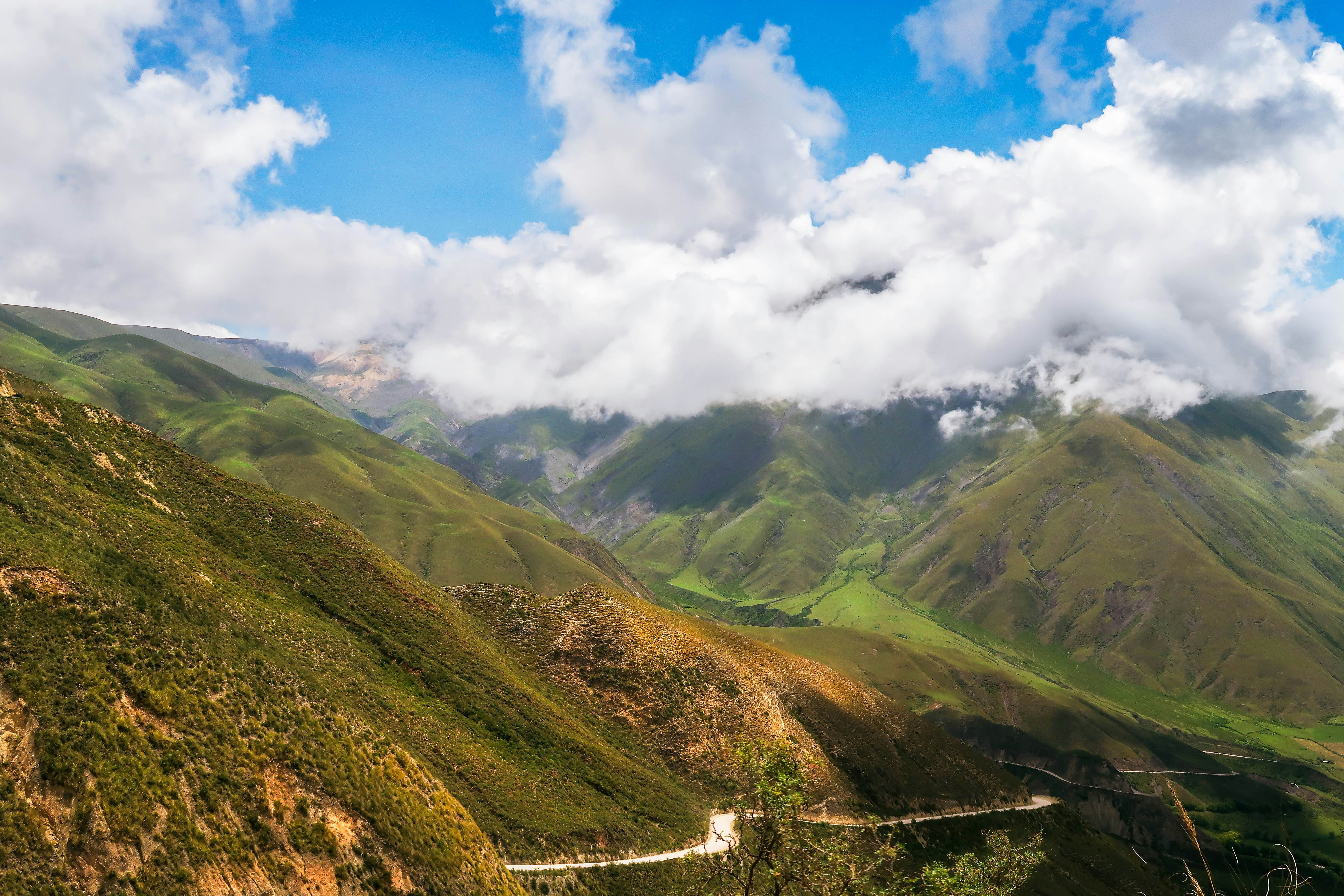 Photo by argentinanatural