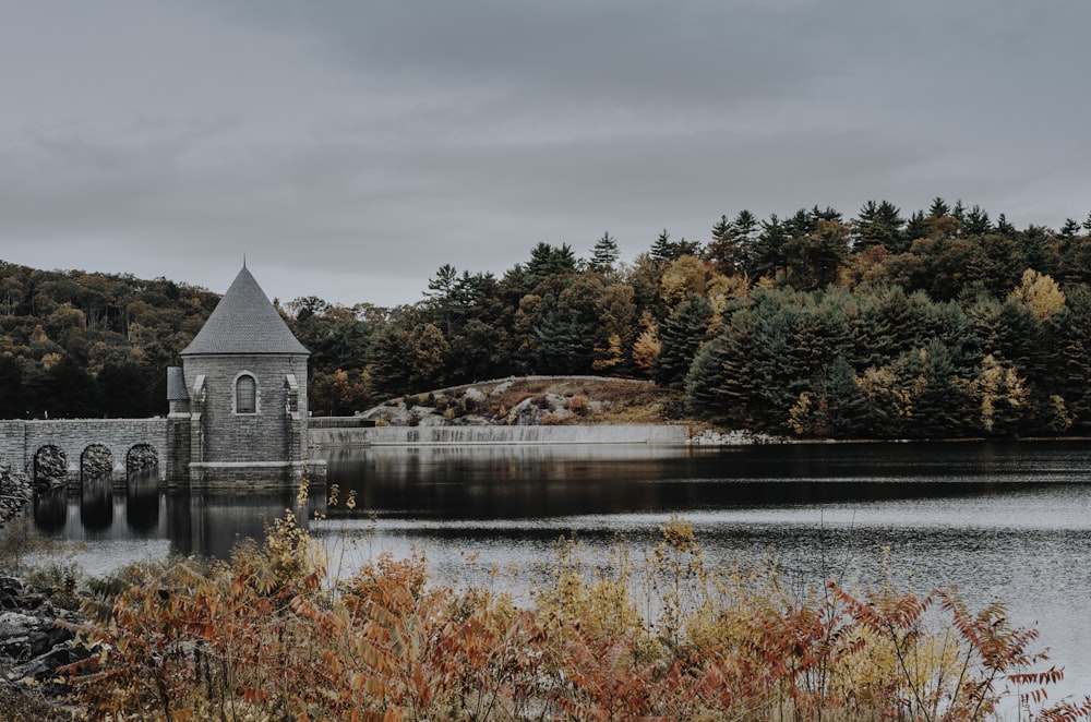 brown and gray concrete building near body of water during daytime