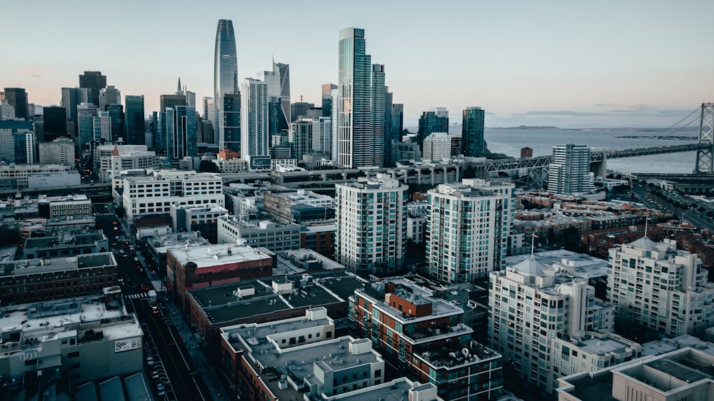 city skyline under white sky during daytime