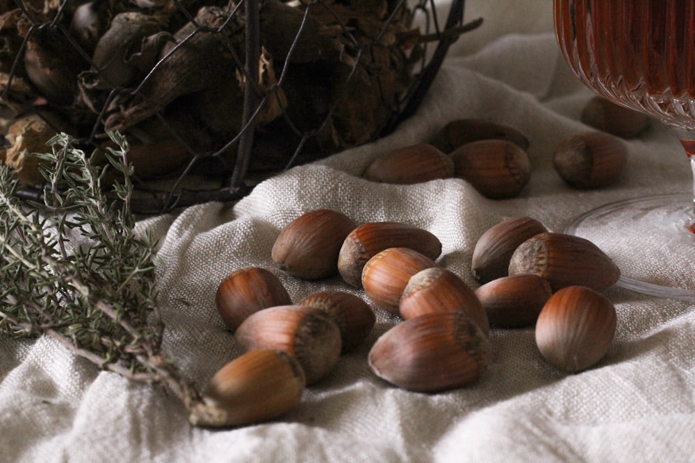 brown and white round fruits on white textile