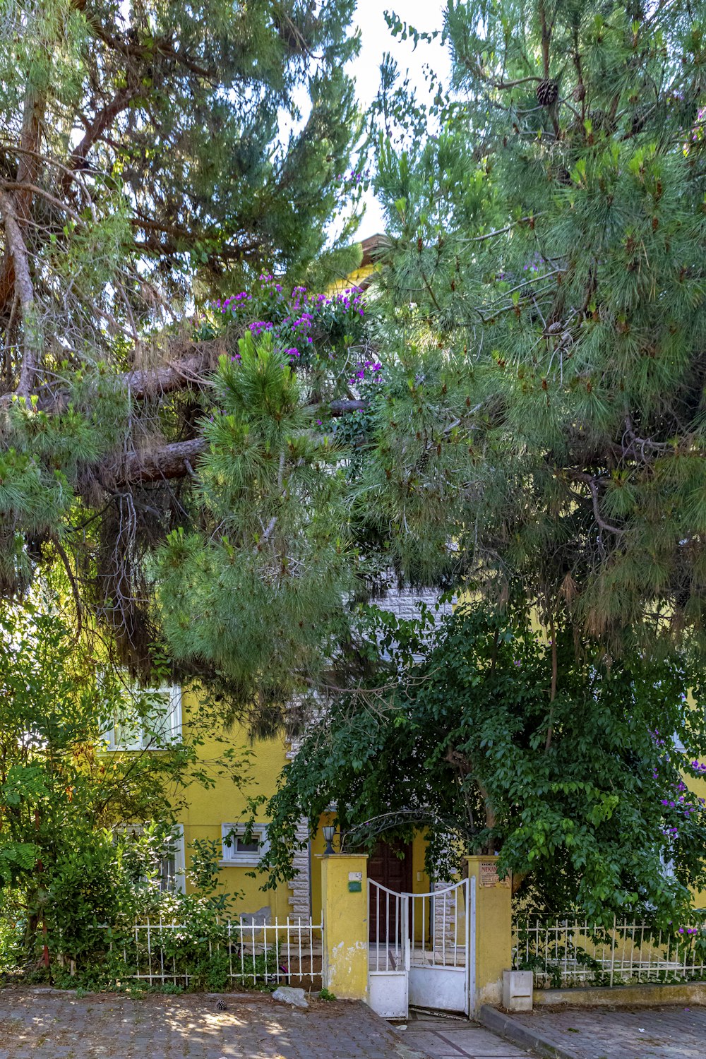 green trees near yellow concrete building during daytime