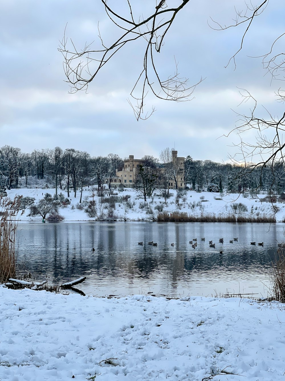 body of water near trees and building during daytime