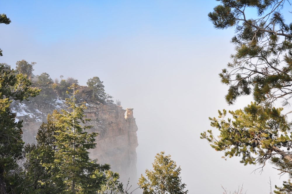 green trees on mountain during daytime