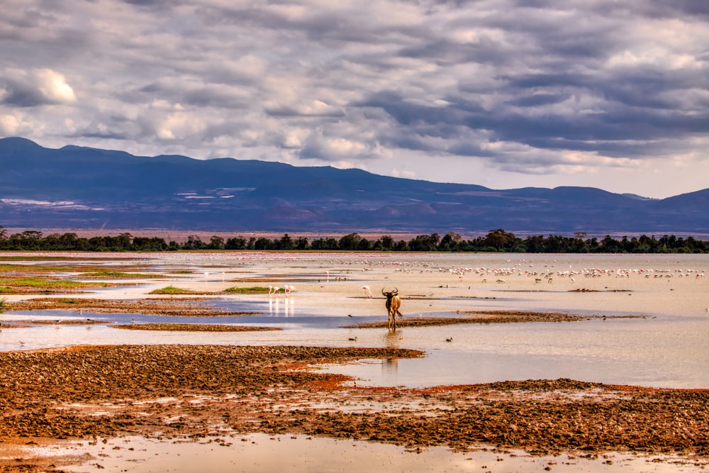 2 person standing on seashore during daytime