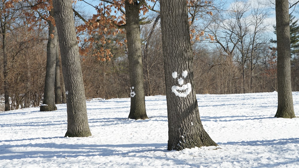 brown tree on snow covered ground during daytime