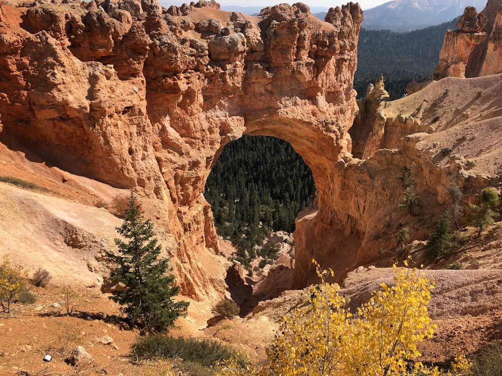 brown rock formation during daytime