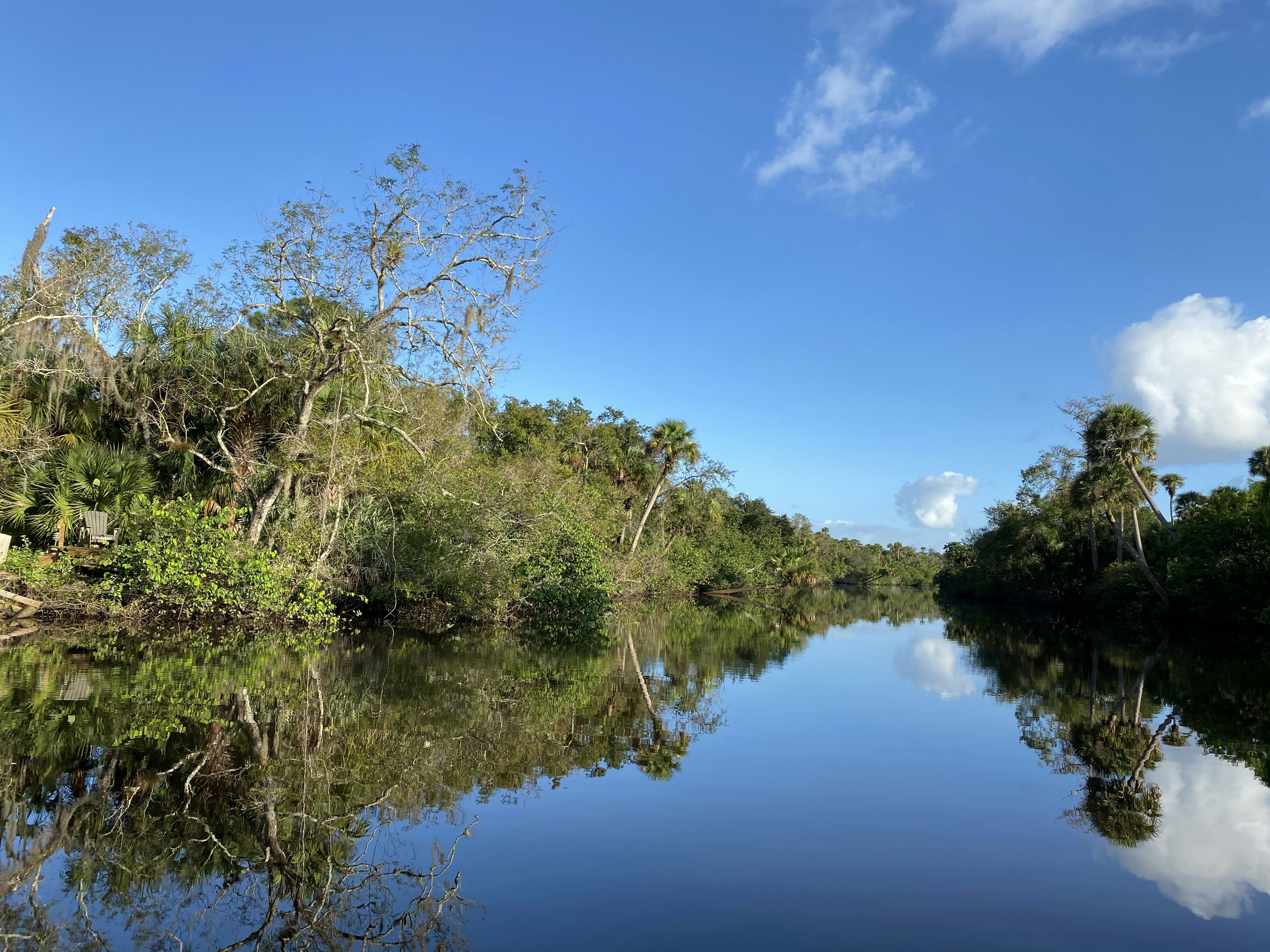 a body of water surrounded by trees and clouds