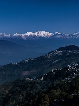 A panoramic view of lush green residential plots with distant mountains under a clear blue sky.