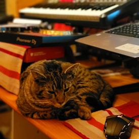 A tabby cat is resting on a red and white striped cloth on a desk. Nearby, there is a computer keyboard, a laptop, an electronic device with 'Pioneer DJ' branding, and a computer mouse. The setting appears to be a cozy workspace with a musical theme.