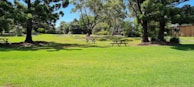 brown wooden picnic table on green grass field during daytime
